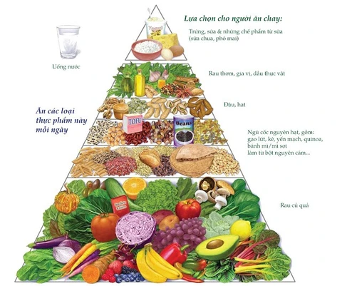 Xây dựng tháp dinh dưỡng cho bữa ăn của bạn.