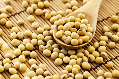 5 loại đậu có tác dụng giảm cân nhanh chóng trong chỉ trong vòng 1 tháng