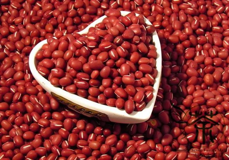 Những loại thực phẩm giảm cân được các Idol Hàn Quốc bí mật sử dụng để giữ vóc dáng