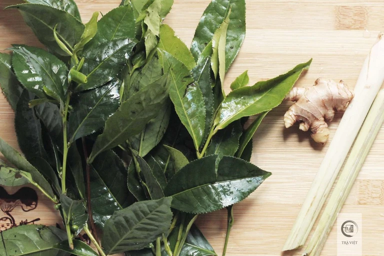 Các loại nước uống giảm cân từ thiên nhiên bạn nên biết