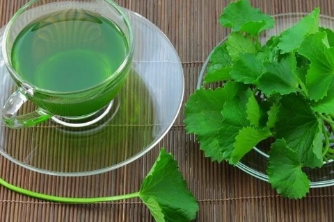 Trị mụn thâm da đơn giản bằng rau má tại nhà