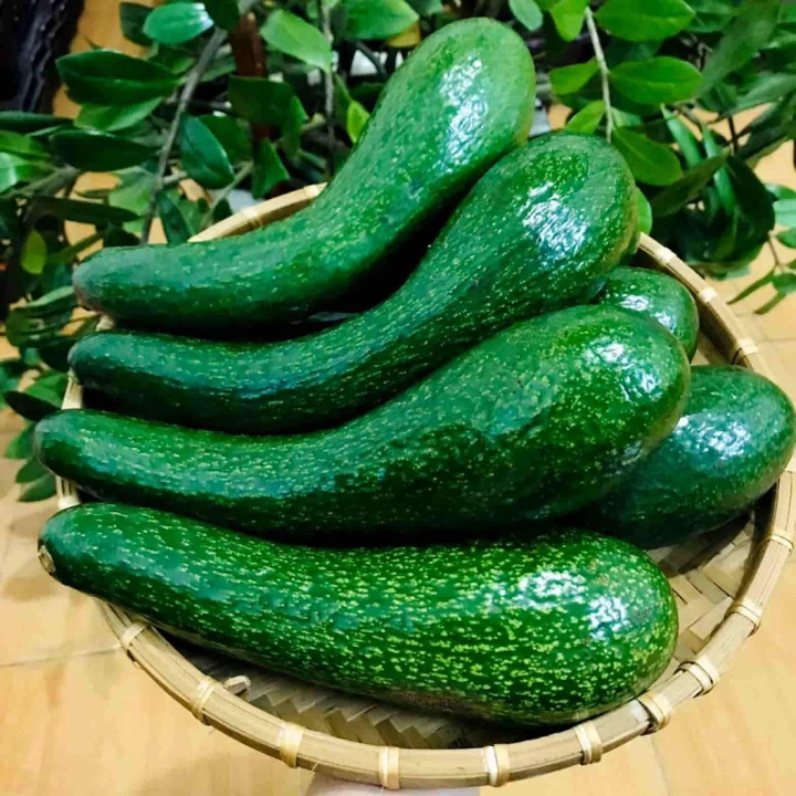 bơ là một nguồn chất xơ tuyệt vời