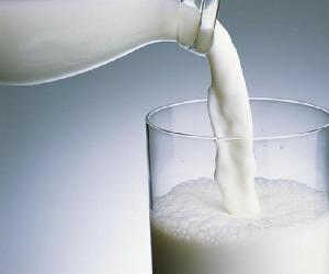 Giảm cân hiệu quả với sữa tươi không đường