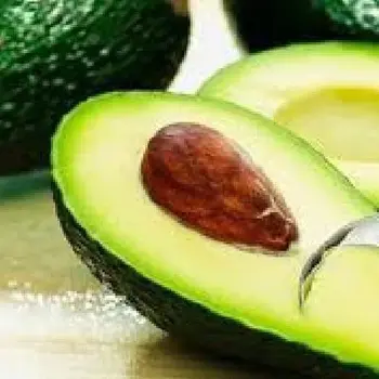 Ăn Bơ Liệu Thật Sự Giúp Tăng Vòng Một