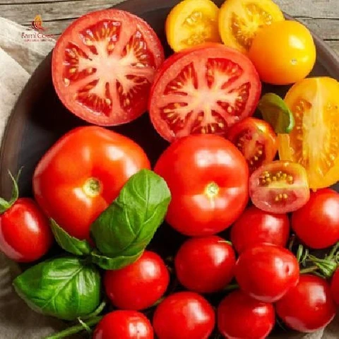 Giảm cân Nhẹ Nhàng Với Cà Chua