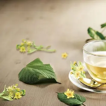 3 Loại DeTox Giúp Giảm Mỡ Bụng Hiệu Quả