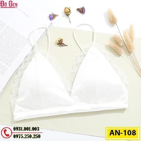 Áo Ngực Không Gọng Cao Cấp AN-108