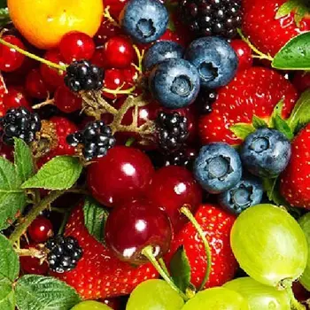 Một Vài Loại Trái Cây giúp Làm Chạm Quá Trình Lão Hóa Da Hiệu Quả