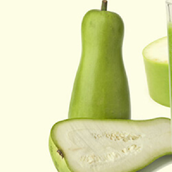 Giarm cân bằng bí đao