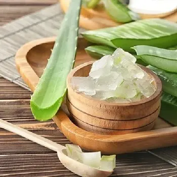 Cách Giảm Cân Hiệu Qủa Với Nha Đam.