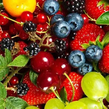 9 Loại Trái Cây Mà Bạn Không Nên Ăn Khi Giảm cân