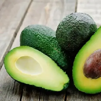 Chống lão hóa hiệu quả từ bơ