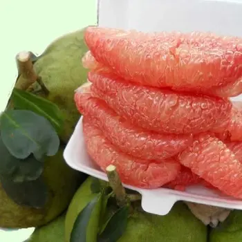 Bưởi có thật sự giúp tăng vòng 1 ?