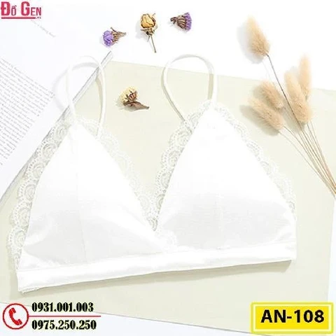 Áo Ngực Không Gọng Cao Cấp AN-108