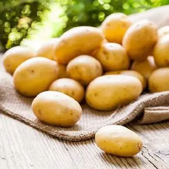 Làm đẹp với những thực phẩm có trong căn bếp hằng ngày