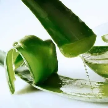 Mẹo Nhỏ Trị Nám Cùng Nha Đam