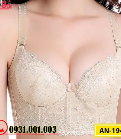 Áo Ngực Bản To Cao Cấp Cod: AN-194