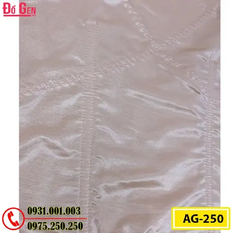 Áo Lót Gen Định Hình - Gen Nịt Bụng Hình Thu Nhỏ Vòng Eo (Cod: AG-250)