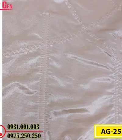 Áo Lót Gen Định Hình - Gen Nịt Bụng Hình Thu Nhỏ Vòng Eo (Cod: AG-250)