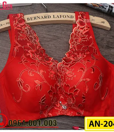 Áo Ngực Ren Bản To Cao Cấp AN-204