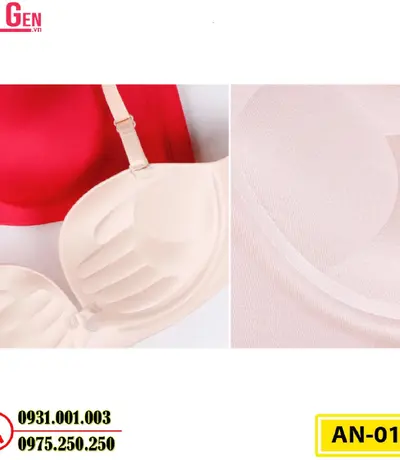 Áo Lót Nâng Ngực Cao Cấp (Cod: AN-011)