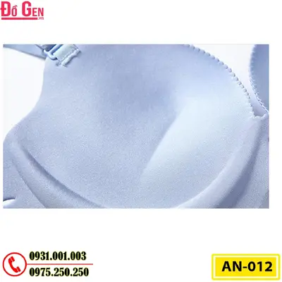 Áo Lót Nâng Ngực Cao Cấp AN-012