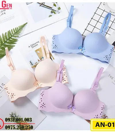 Áo Lót Nâng Ngực Cao Cấp AN-012