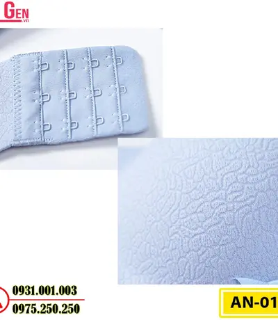 Áo Lót Nâng Ngực Cao Cấp AN-012