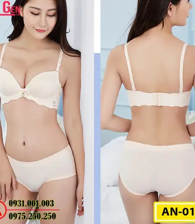 Áo Lót Nâng Ngực Cao Cấp AN-012