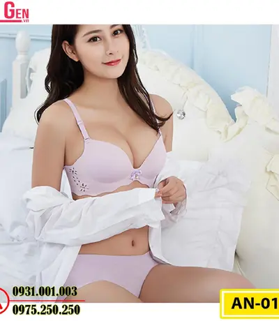 Áo Lót Nâng Ngực Cao Cấp AN-012