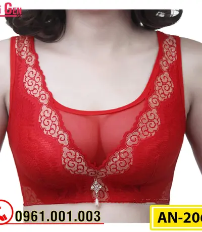 Áo Ngực Ren Bản To Không Gọng Cao Cấp AN-206