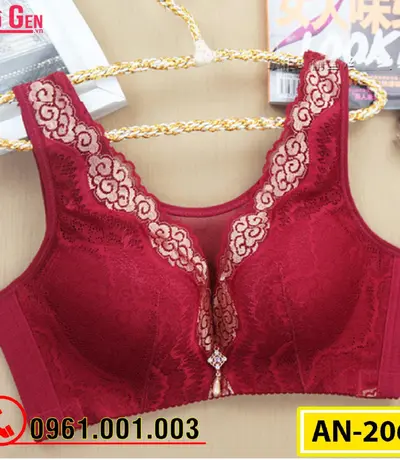 Áo Ngực Ren Bản To Không Gọng Cao Cấp AN-206