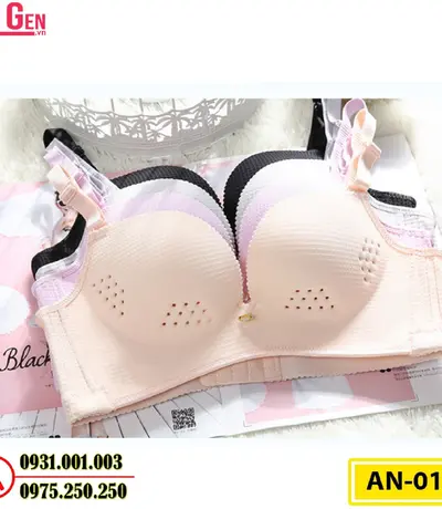 Áo Lót Nâng Ngực Cao Cấp AN-014