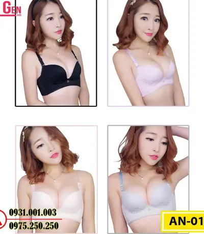 Áo Lót Nâng Ngực Cao Cấp AN-014