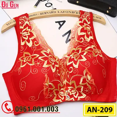 Áo Ngực Nâng Ngực Bản To Cao Cấp AN-209