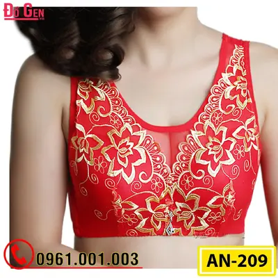 Áo Ngực Nâng Ngực Bản To Cao Cấp AN-209