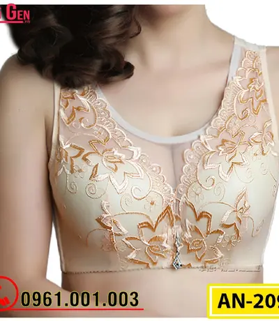 Áo Ngực Nâng Ngực Bản To Cao Cấp AN-209