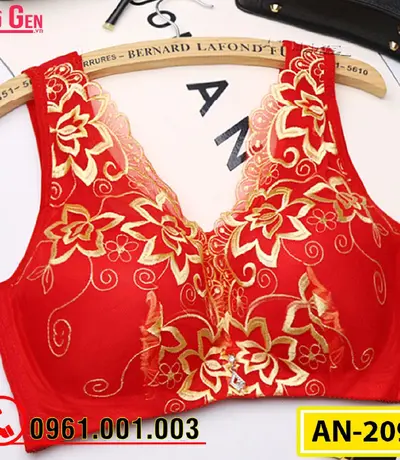 Áo Ngực Nâng Ngực Bản To Cao Cấp AN-209