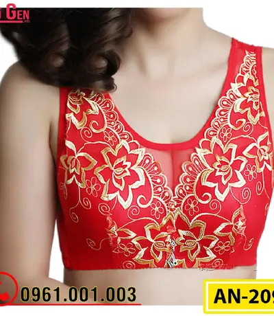 Áo Ngực Nâng Ngực Bản To Cao Cấp AN-209