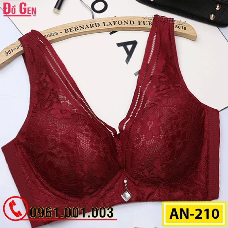 Áo Ngực Ren Bản To Cao Cấp AN-210