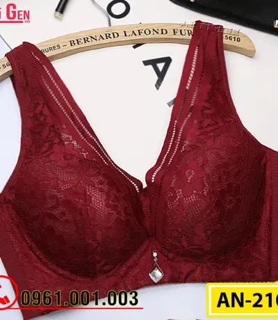 Áo Ngực Ren Bản To Cao Cấp AN-210