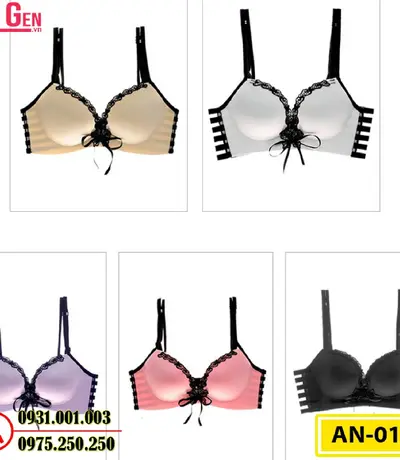 Áo Ngực Không Gọng Cao Cấp AN-017