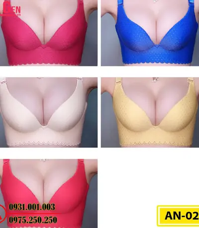 Áo Lót Nâng Ngực Cao Cấp AN-020