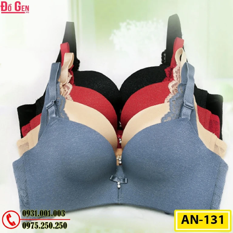 Áo Ngực Không Gọng Cao Cấp AN-131