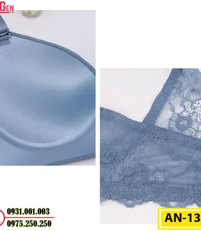 Áo Ngực Không Gọng Cao Cấp AN-131