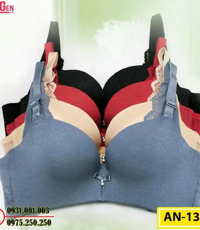 Áo Ngực Không Gọng Cao Cấp AN-131