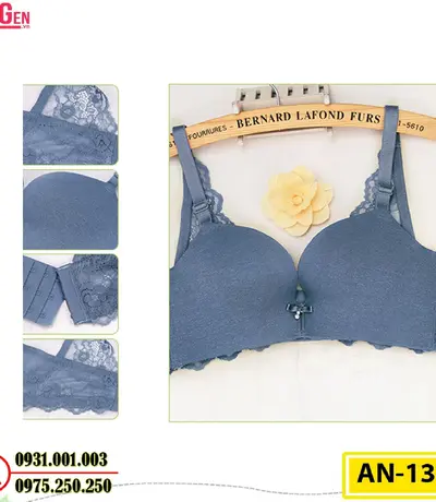 Áo Ngực Không Gọng Cao Cấp AN-131