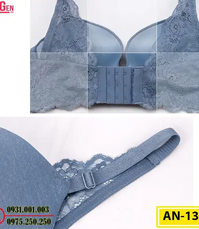 Áo Ngực Không Gọng Cao Cấp AN-131