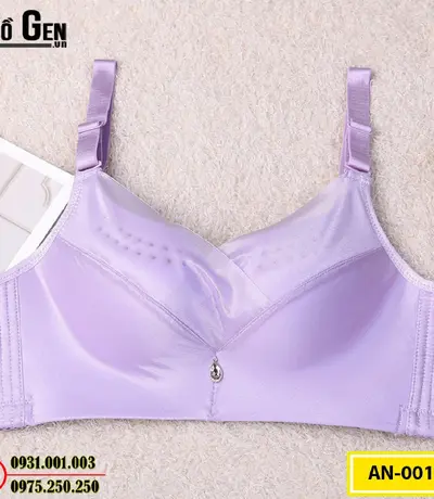 Áo Ngực Bản To Cao Cấp (Cod: AN-001)