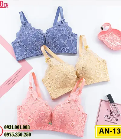 Áo Ngực Không Gọng Cao Cấp AN-133